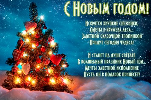 С Новым годом, дорогие читатели и гости моего блога! Спасибо, что заглянули ))