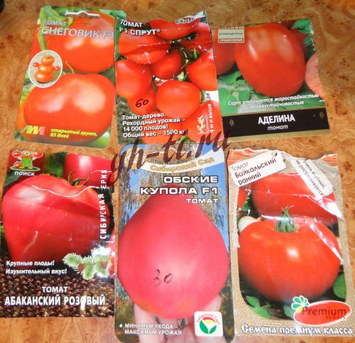Вот такие сорта томатов мы посадили