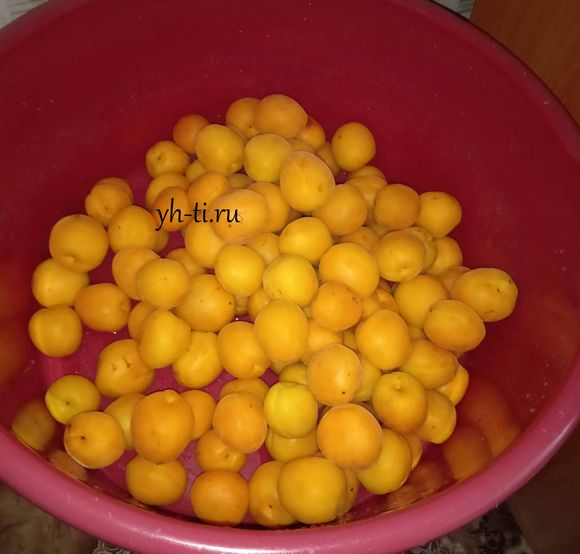 Моем абрикосы